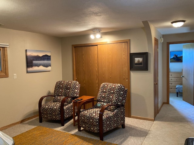 875 20th St, Windom, MN 56101 - living area featuring carpet and baseboards