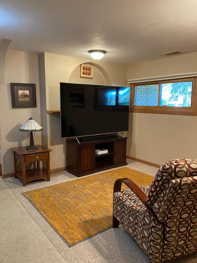 875 20th St, Windom, MN 56101 - living area with a textured ceiling, baseboards, and light colored carpet