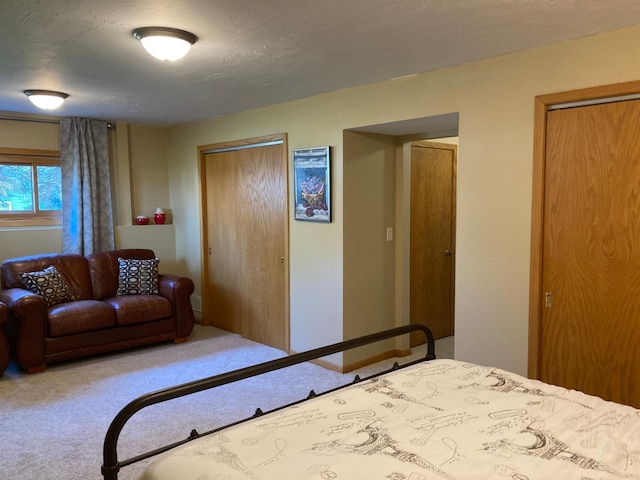 875 20th St, Windom, MN 56101 - bedroom featuring carpet and a closet