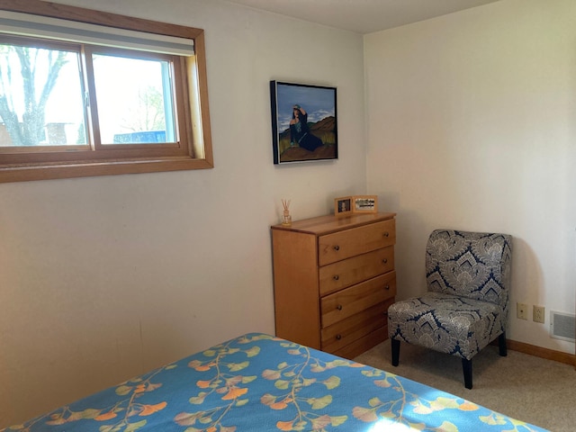 875 20th St, Windom, MN 56101 - bedroom featuring carpet and baseboards