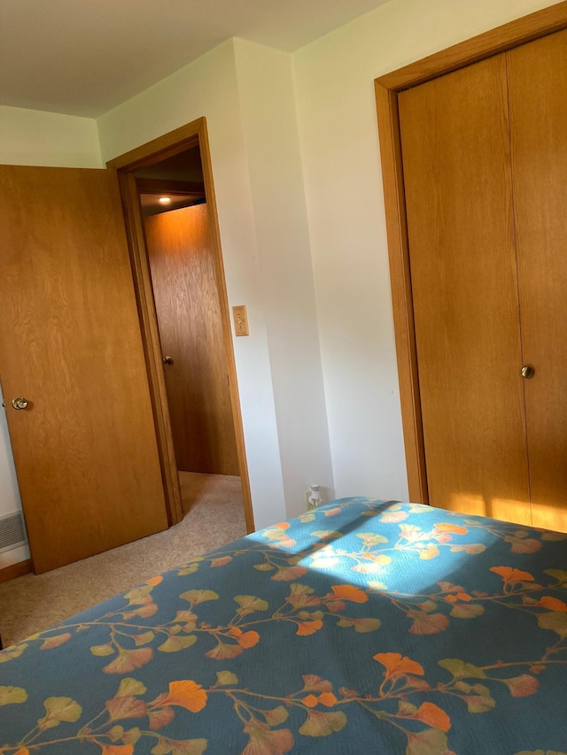875 20th St, Windom, MN 56101 - view of carpeted bedroom
