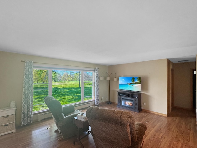 1539 111th St, Slayton Twp, MN 56172 - living area with wood finished floors, a glass covered fireplace, baseboard heating, and baseboards