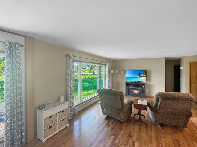 1539 111th St, Slayton Twp, MN 56172 - living room featuring a warm lit fireplace, wood finished floors, and a baseboard radiator