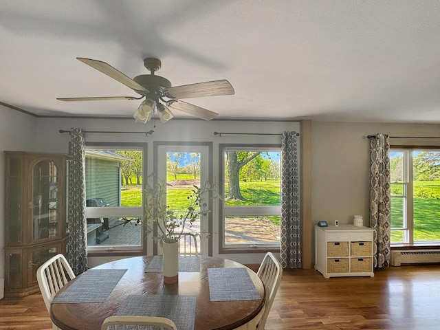 1539 111th St, Slayton Twp, MN 56172 - dining area featuring plenty of natural light, baseboard heating, wood finished floors, and a ceiling fan