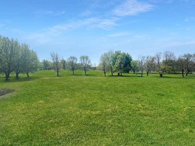 1539 111th St, Slayton Twp, MN 56172 - view of grassy yard