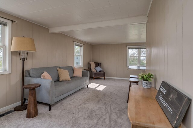 5433 511th Street Way, Kenyon Twp, MN 55946 - carpeted living room with healthy amount of natural light, beam ceiling, and wooden walls