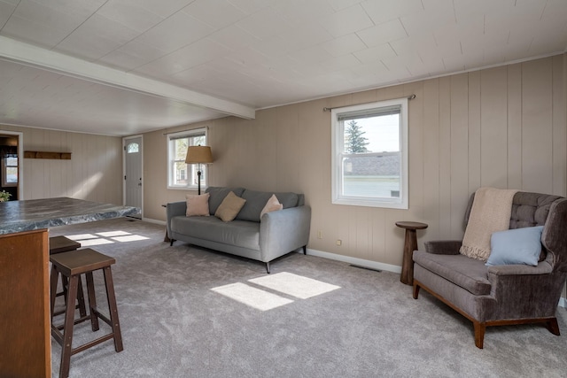5433 511th Street Way, Kenyon Twp, MN 55946 - living area with carpet flooring and beamed ceiling