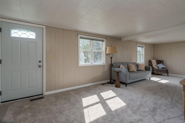 5433 511th Street Way, Kenyon Twp, MN 55946 - carpeted entrance foyer featuring wooden walls and beam ceiling