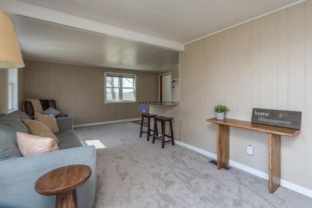 5433 511th Street Way, Kenyon Twp, MN 55946 - carpeted living area featuring baseboards and wood walls