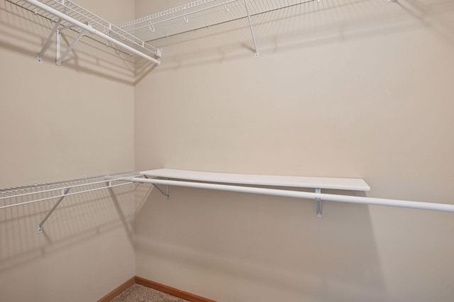 view of walk in closet