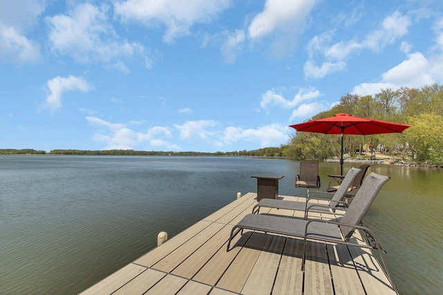 17965 718th Ave, Dassel, MN 55325 - dock with a water view