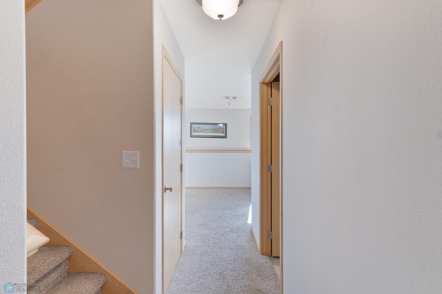 corridor featuring carpet and stairway
