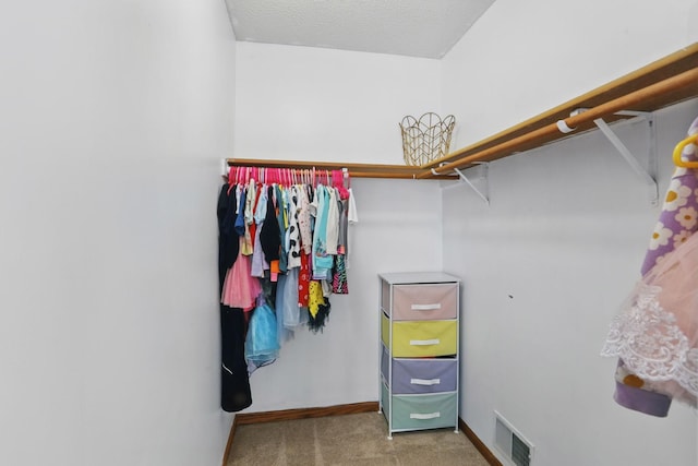 6609 91st Trl N, Brooklyn Park, MN 55445 - walk in closet with carpet floors