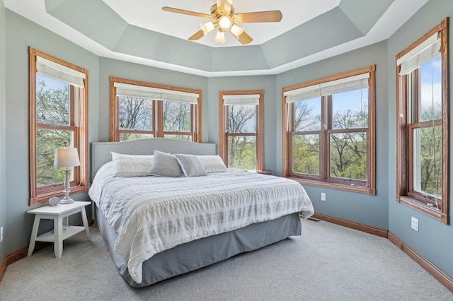 6715 Eldorado Way, Leon Twp, MN 55009 - bedroom featuring carpet, baseboards, and a raised ceiling
