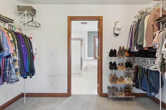6715 Eldorado Way, Leon Twp, MN 55009 - spacious closet featuring carpet