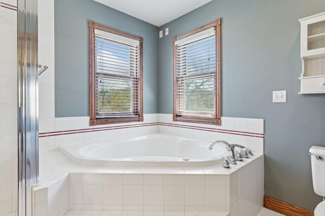 6715 Eldorado Way, Leon Twp, MN 55009 - bathroom with a garden tub, toilet, and a shower stall
