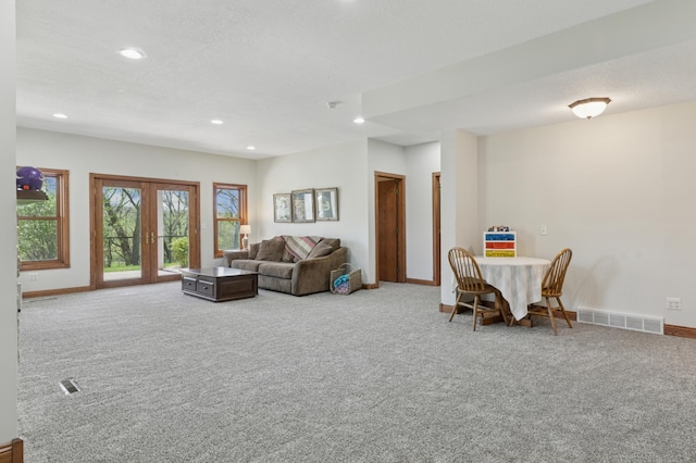 6715 Eldorado Way, Leon Twp, MN 55009 - living room with carpet floors, baseboards, recessed lighting, and french doors
