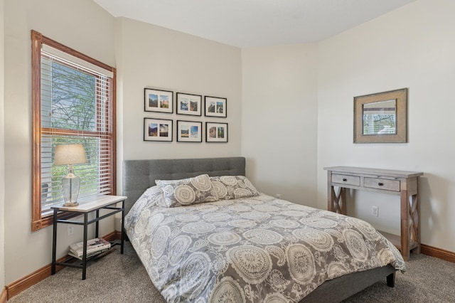 6715 Eldorado Way, Leon Twp, MN 55009 - bedroom featuring carpet, multiple windows, and baseboards