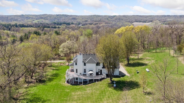 6715 Eldorado Way, Leon Twp, MN 55009 - aerial view of property and surrounding area featuring a forest