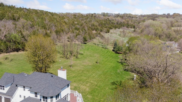 6715 Eldorado Way, Leon Twp, MN 55009 - view from above of property with a forest