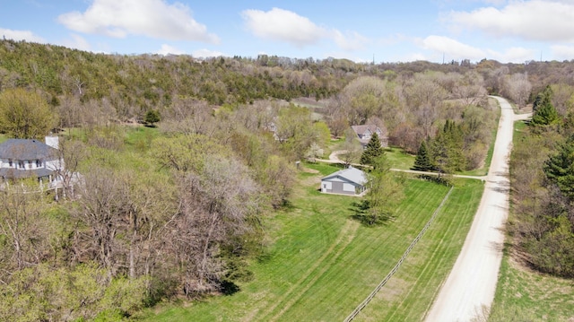 6715 Eldorado Way, Leon Twp, MN 55009 - view of subject property featuring a forest