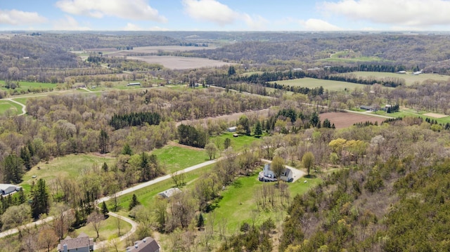6715 Eldorado Way, Leon Twp, MN 55009 - aerial view of sparsely populated area