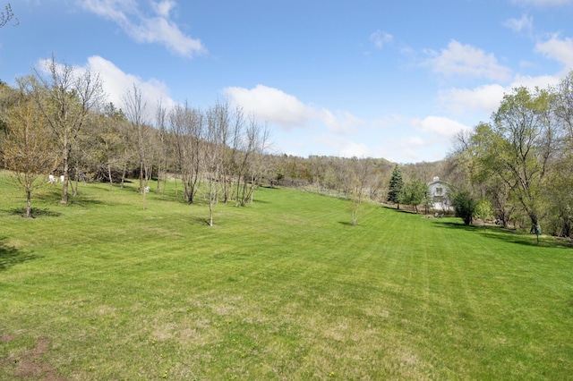 6715 Eldorado Way, Leon Twp, MN 55009 - view of grassy yard with a view of rural / pastoral area