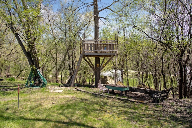 6715 Eldorado Way, Leon Twp, MN 55009 - view of green lawn