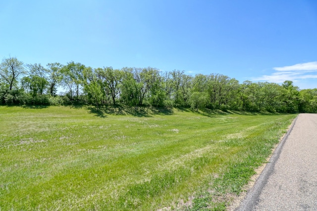33397 Pickerel View Dr, Richville, MN 56576 - view of street with a view of rural / pastoral area
