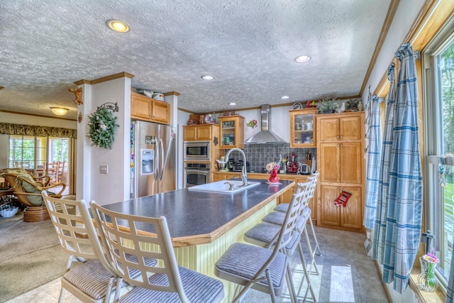 33397 Pickerel View Dr, Richville, MN 56576 - kitchen featuring wall chimney exhaust hood, stainless steel appliances, a sink, ornamental molding, and a textured ceiling