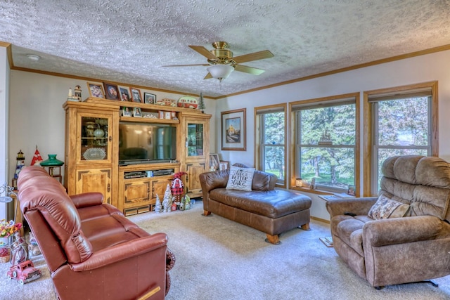 33397 Pickerel View Dr, Richville, MN 56576 - living area with carpet floors, ornamental molding, a ceiling fan, and a textured ceiling