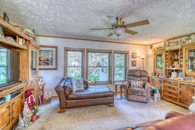 33397 Pickerel View Dr, Richville, MN 56576 - carpeted living room featuring ornamental molding, a ceiling fan, plenty of natural light, and a textured ceiling