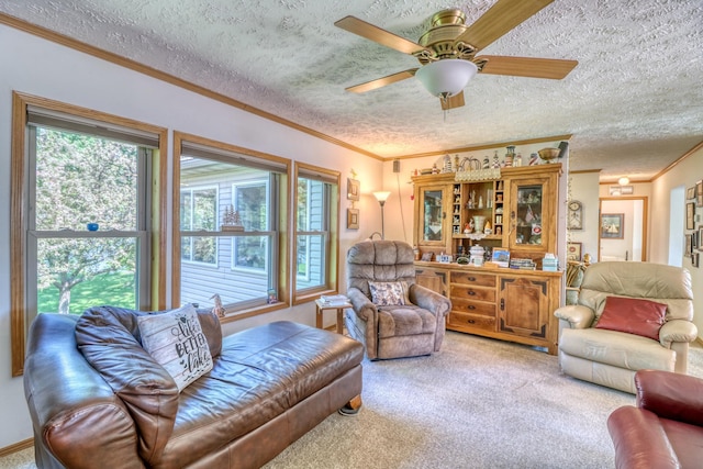 33397 Pickerel View Dr, Richville, MN 56576 - carpeted living area featuring ornamental molding, a textured ceiling, and ceiling fan