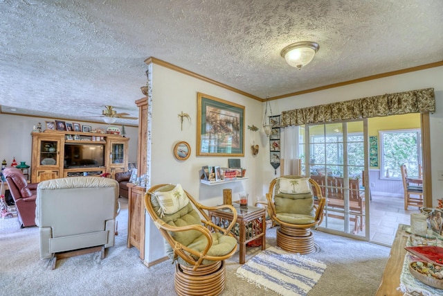 33397 Pickerel View Dr, Richville, MN 56576 - carpeted living room with ornamental molding, ceiling fan, and a textured ceiling