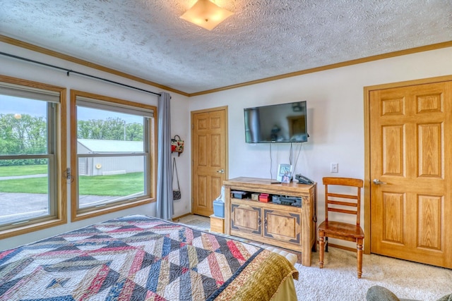33397 Pickerel View Dr, Richville, MN 56576 - bedroom featuring ornamental molding, a textured ceiling, and light carpet