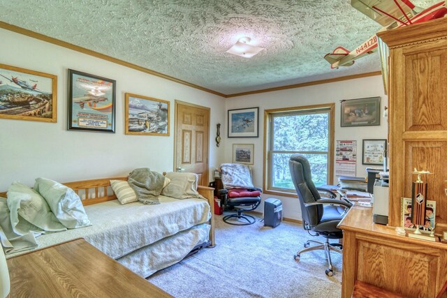 33397 Pickerel View Dr, Richville, MN 56576 - carpeted bedroom with ornamental molding, an office area, and a textured ceiling