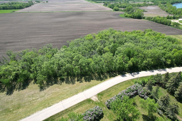 33397 Pickerel View Dr, Richville, MN 56576 - view of rural area
