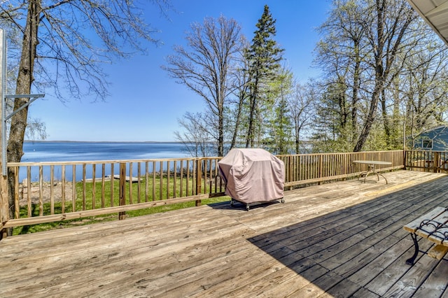 37855 Height Of Land Dr, Rochert, MN 56578 - photo 31