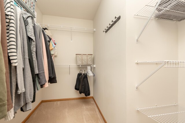 9277 Inland Ln N, Maple Grove, MN 55311 - walk in closet featuring carpet flooring