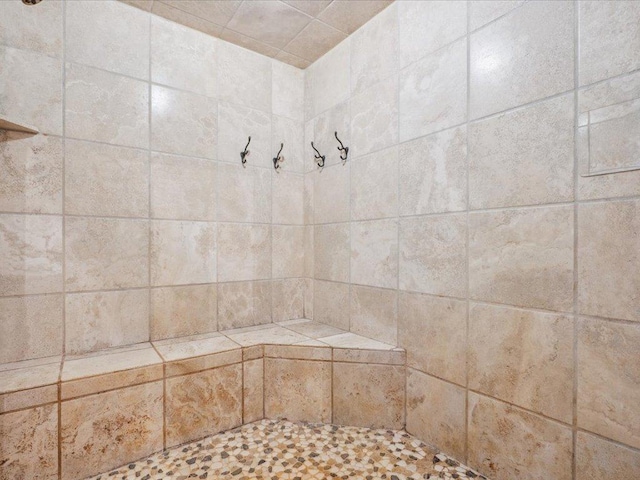 15464 Birch Narrows Rd, Crosslake, MN 56472 - detailed view of a tile shower
