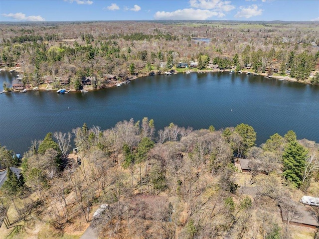 15464 Birch Narrows Rd, Crosslake, MN 56472 - aerial view of property and surrounding area featuring a forest and a nearby body of water