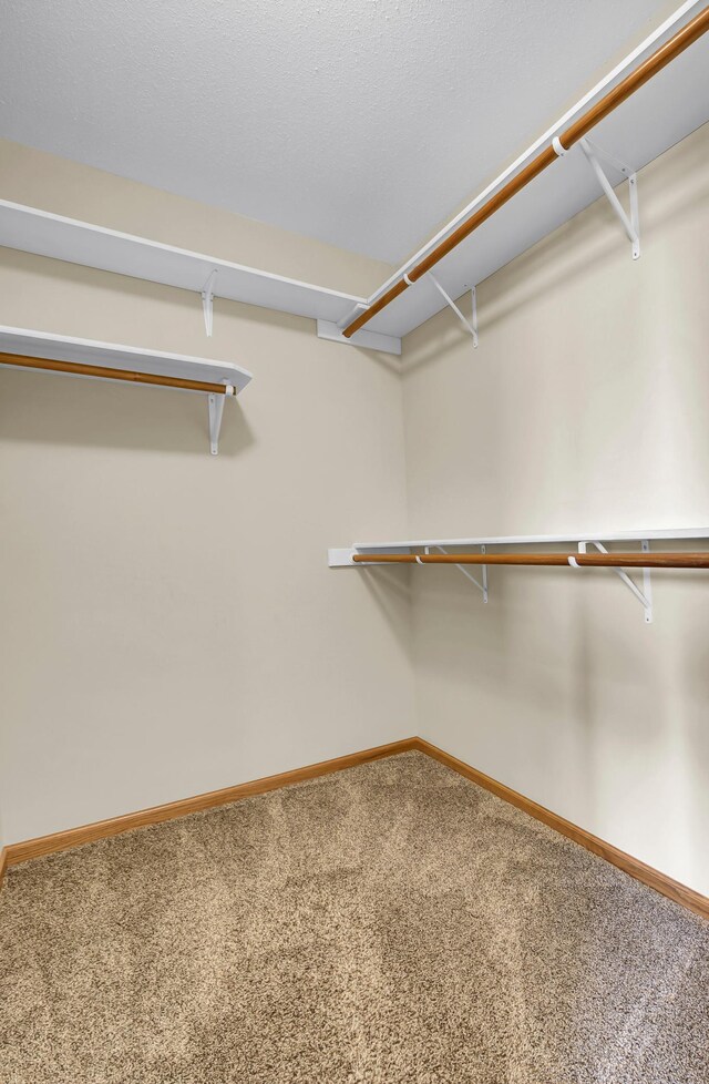 809 3rd Ave SE, Cold Spring, MN 56320 - walk in closet with carpet flooring