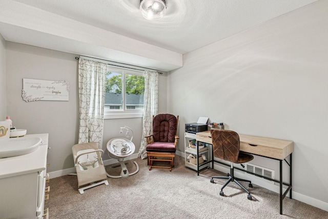 2313 122nd St, Burnsville, MN 55337 - office featuring a sink, carpet flooring, and baseboards