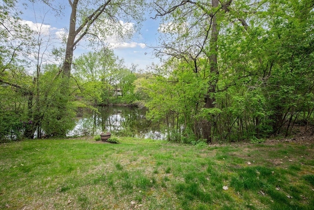 2313 122nd St, Burnsville, MN 55337 - view of green lawn with a water view