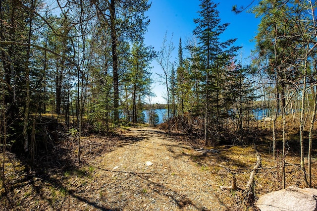TBD Fectos Rd, Tower, MN 55790