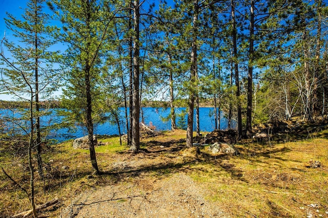 TBD Fectos Rd, Tower, MN 55790