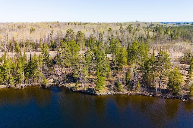 TBD Fectos Rd, Tower, MN 55790
