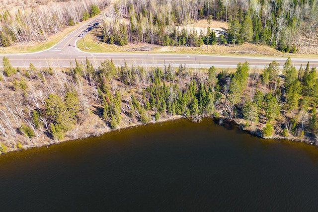 TBD Fectos Rd, Tower, MN 55790