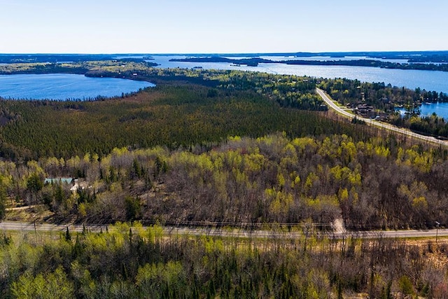 TBD Fectos Rd, Tower, MN 55790