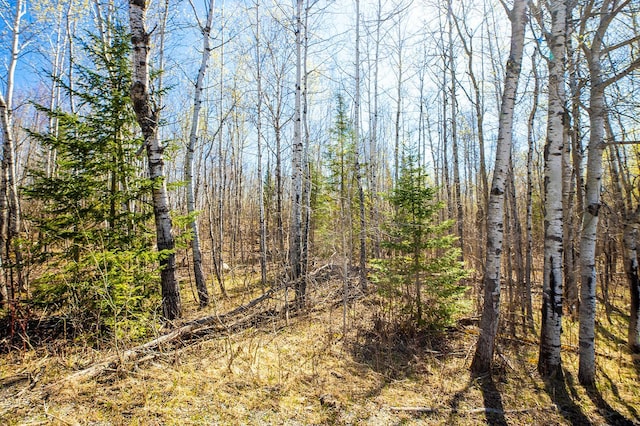 TBD Fectos Rd, Tower, MN 55790